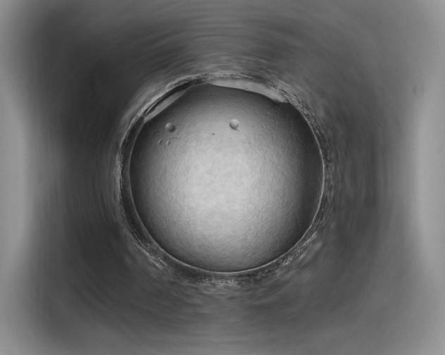 X0000115790194200911201339