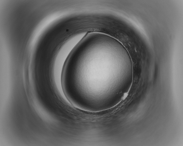 X0000115790195200911201339