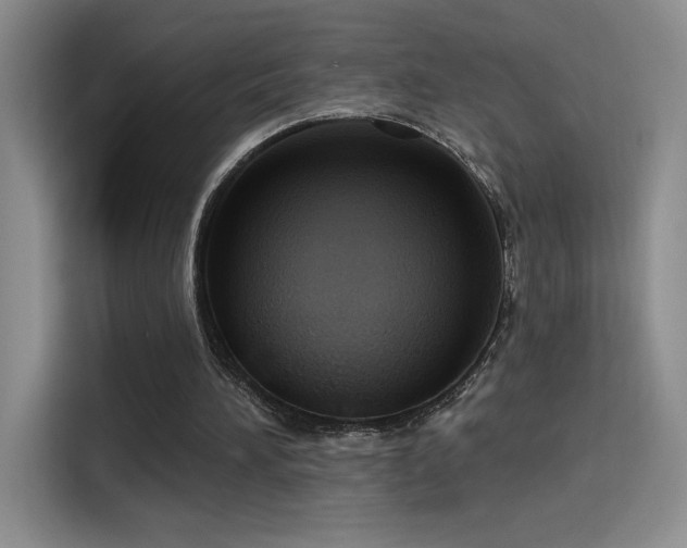 X0000115790196200911201339