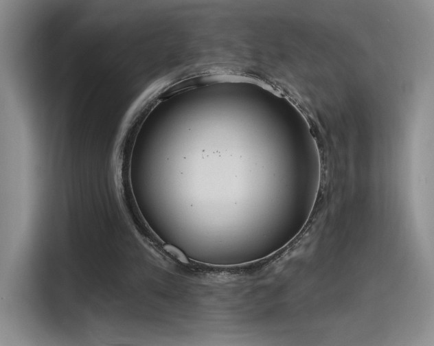 X0000115790197200911201339