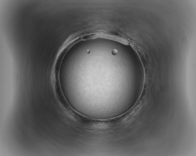 X0000115790198200911201339