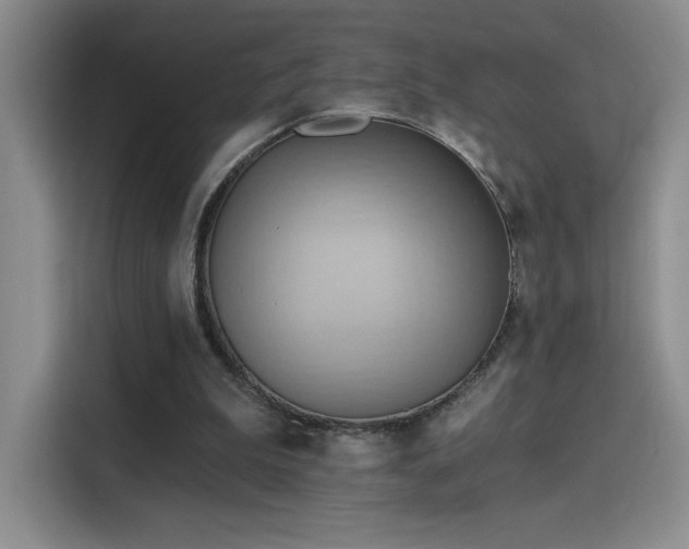 X0000115790199200911201339