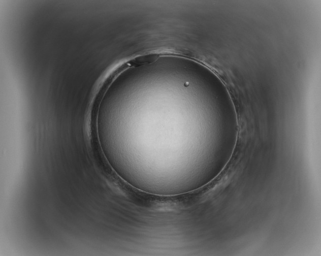 X0000115790200200911201339