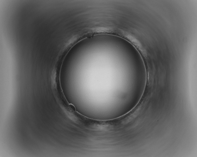 X0000115790201200911201339