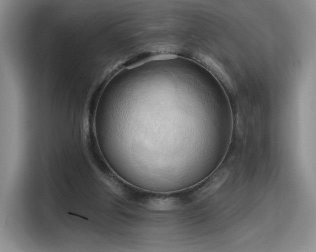 X0000115790202200911201339