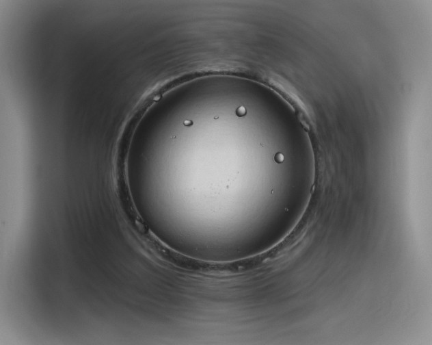 X0000115790203200911201339