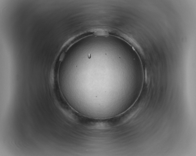 X0000115790204200911201339