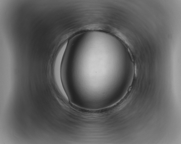 X0000115790205200911201338