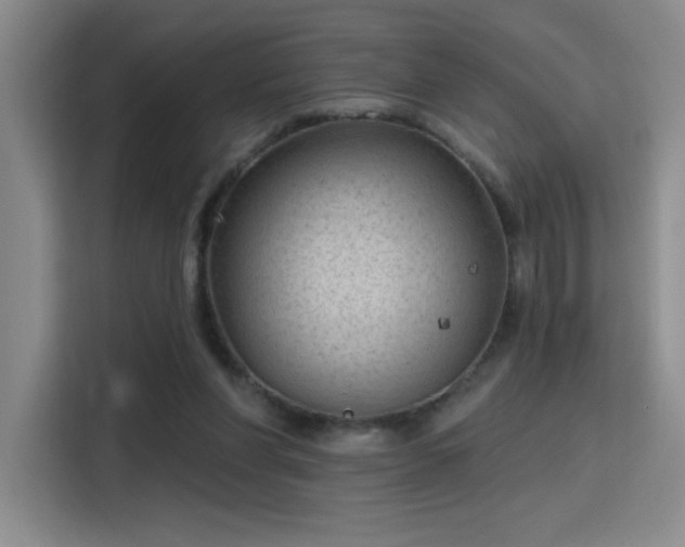 X0000115790206200911201338