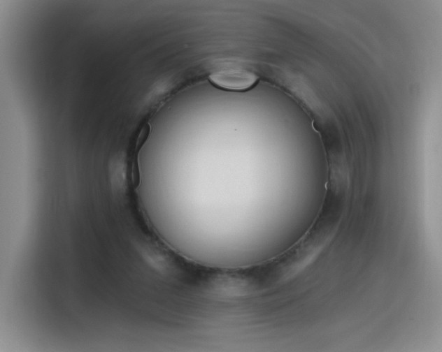 X0000115790207200911201338