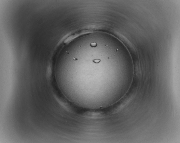 X0000115790208200911201338