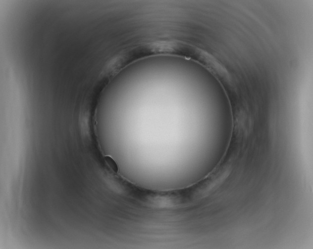 X0000115790209200911201338