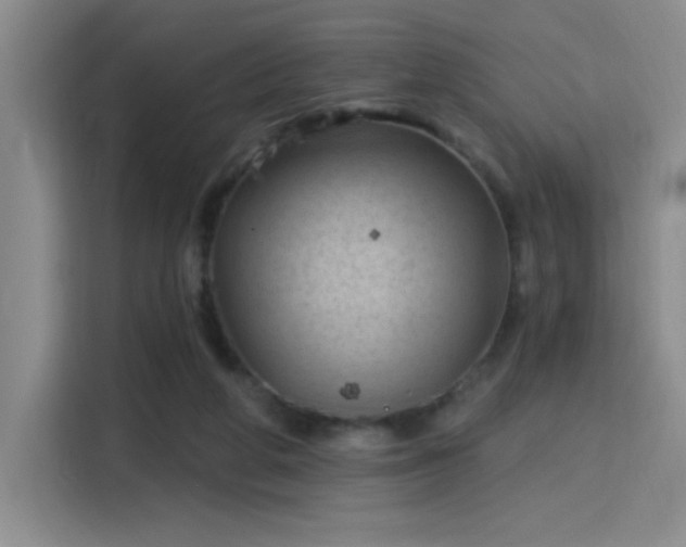 X0000115790210200911201338