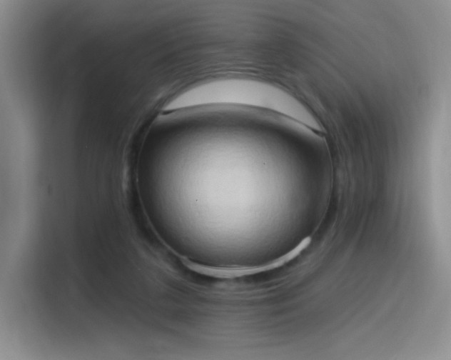 X0000115790211200911201338