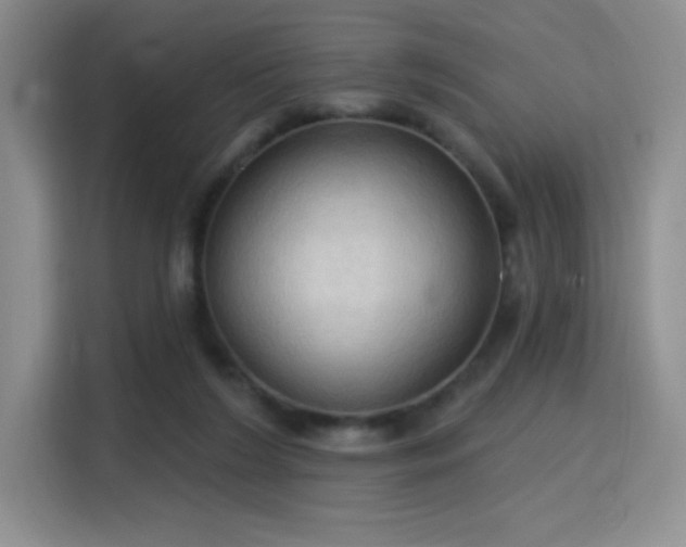 X0000115790212200911201338