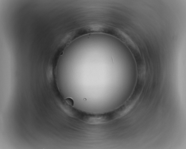 X0000115790213200911201338