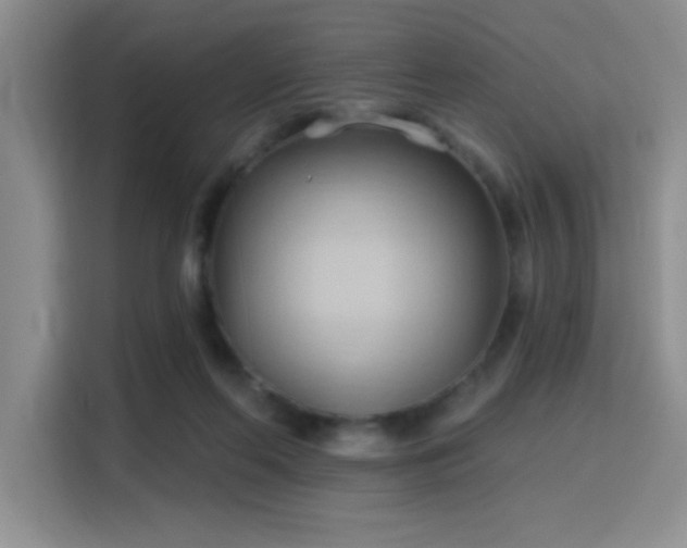 X0000115790214200911201338