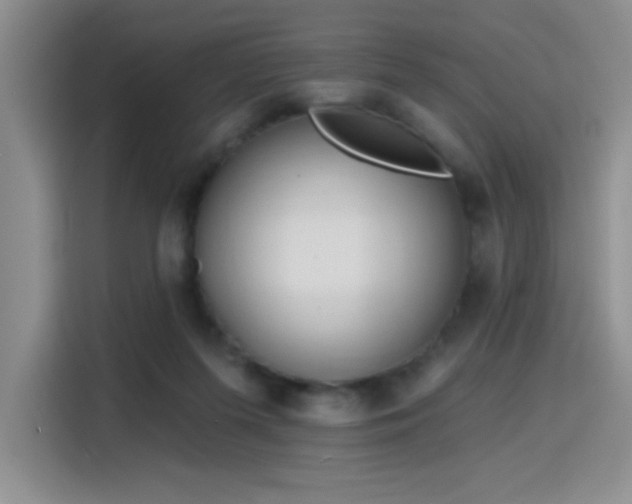 X0000115790215200911201338