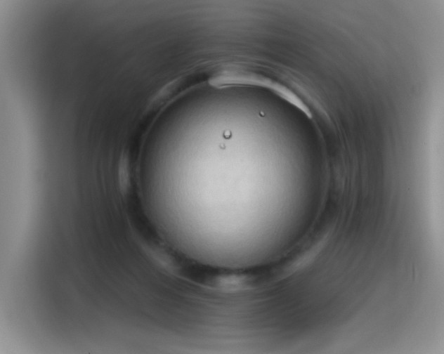 X0000115790216200911201338