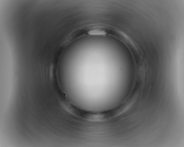 X0000115790217200911201338