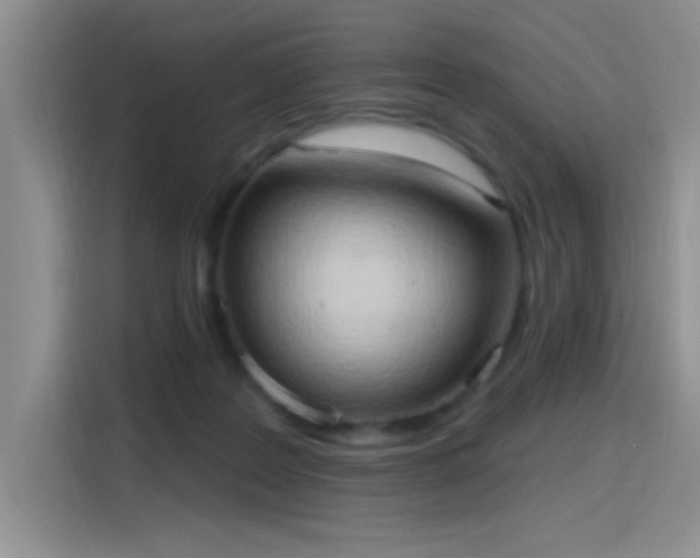 X0000115790219200911201338