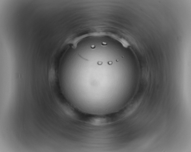 X0000115790220200911201338