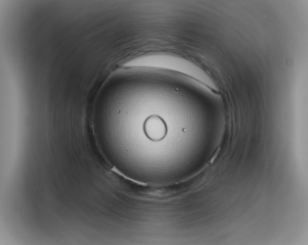 X0000115790221200911201338