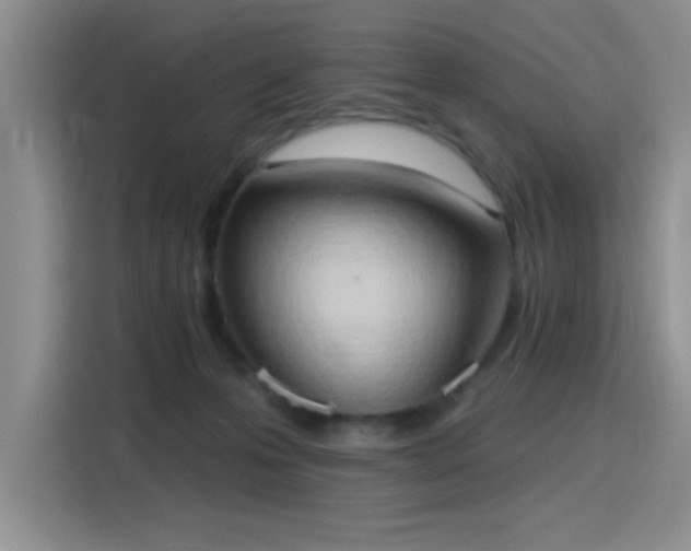 X0000115790223200911201338