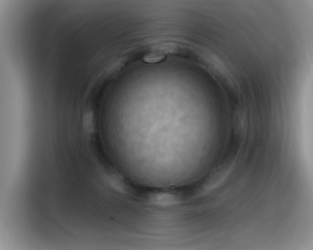 X0000115790224200911201338