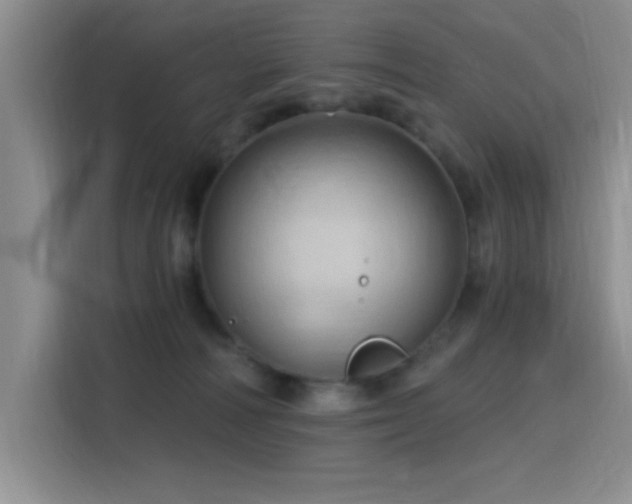 X0000115790226200911201338