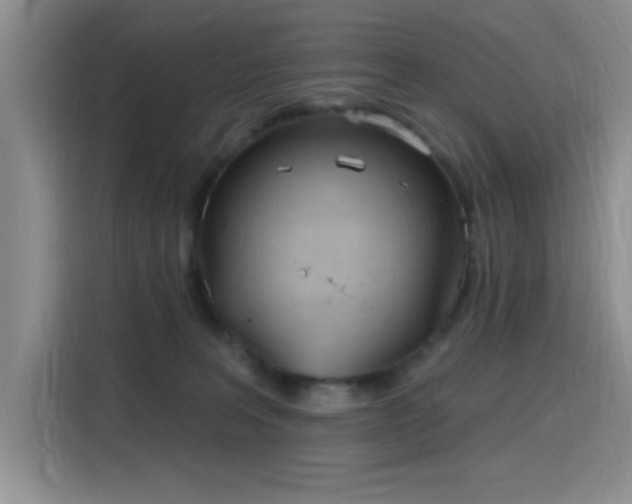 X0000115790227200911201338