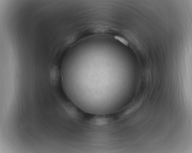 X0000115790228200911201338