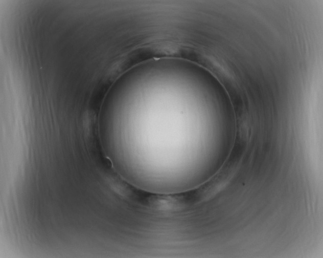 X0000115790229200911201338