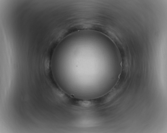 X0000115790230200911201338