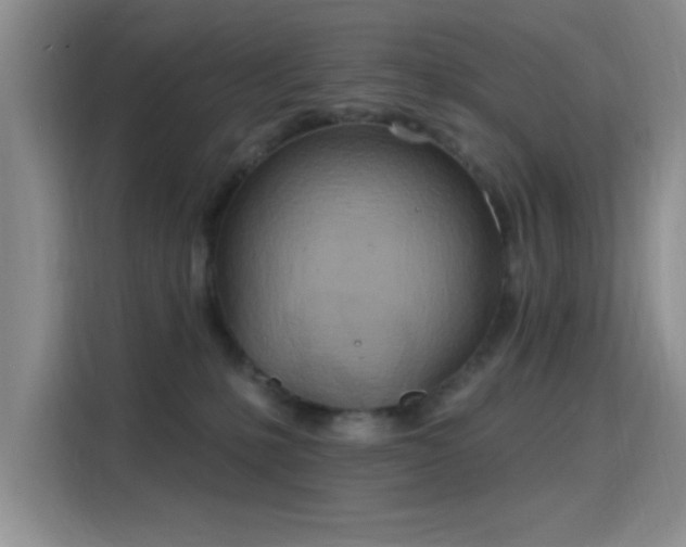 X0000115790231200911201338