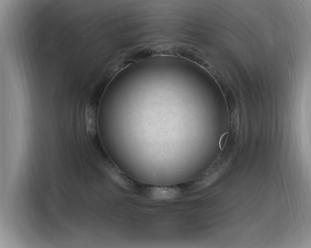 X0000115790234200911201338