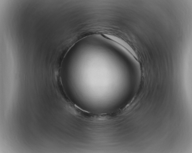 X0000115790235200911201338