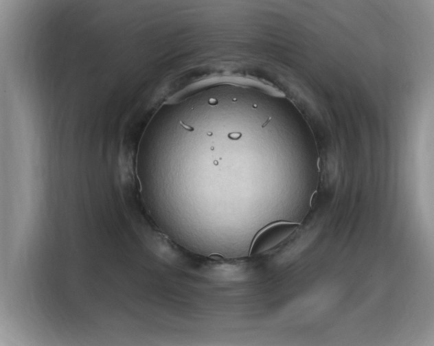 X0000115790236200911201338