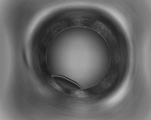 X0000115790239200911201338