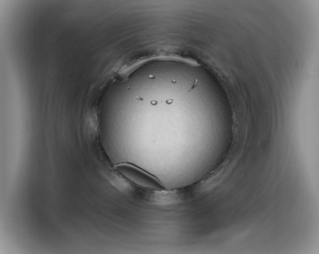 X0000115790240200911201338