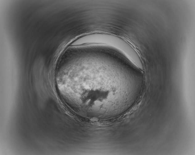 X0000115790241200911201337