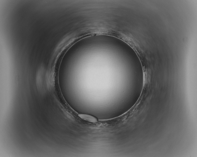 X0000115790243200911201337