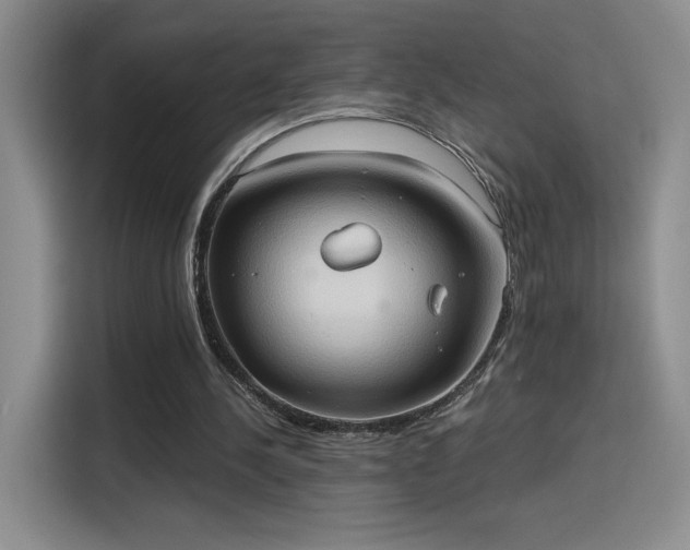 X0000115790244200911201337