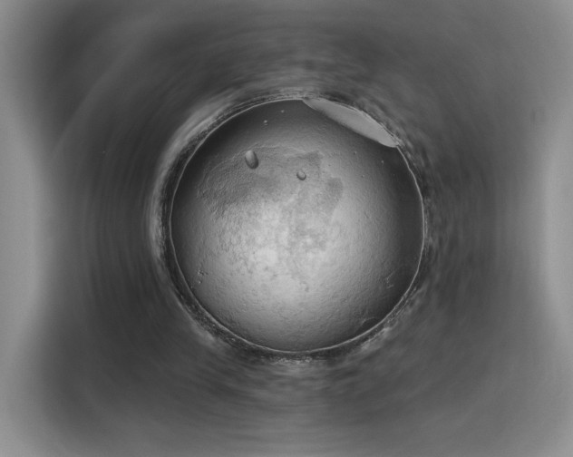 X0000115790245200911201337