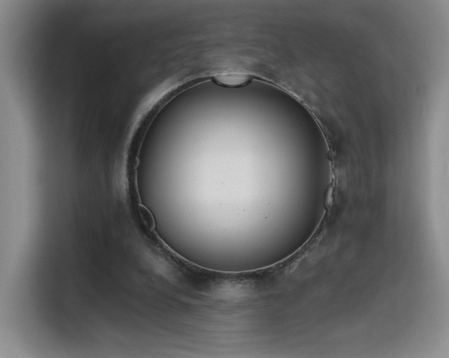 X0000115790248200911201338