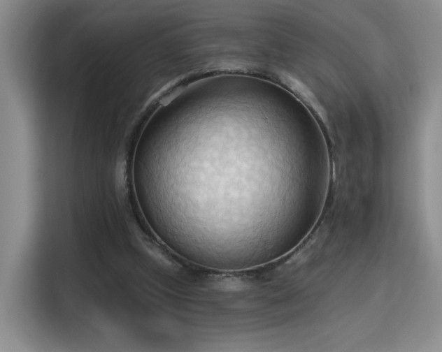 X0000115790249200911201338