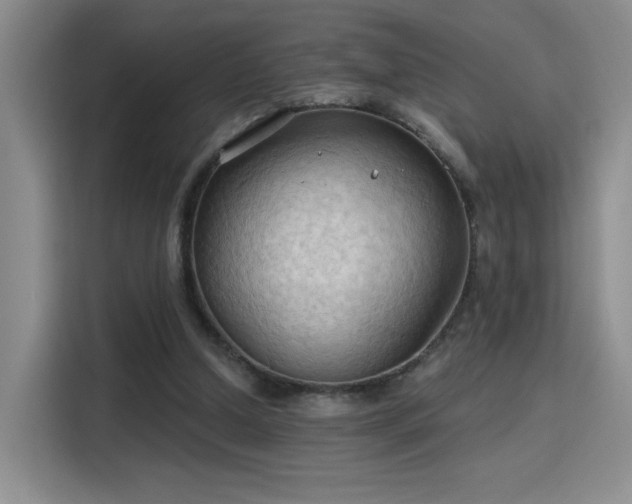 X0000115790250200911201338