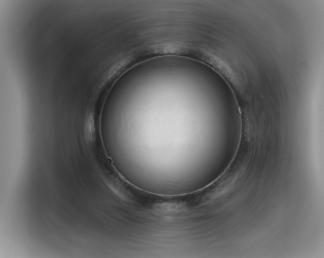 X0000115790251200911201338