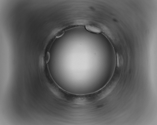 X0000115790252200911201338