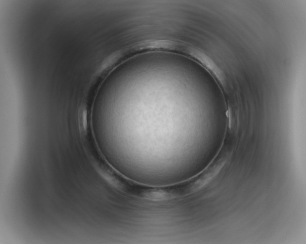 X0000115790253200911201338